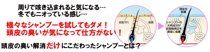 �L���A���X���T�C�g